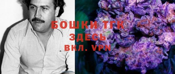 гашик Алексин