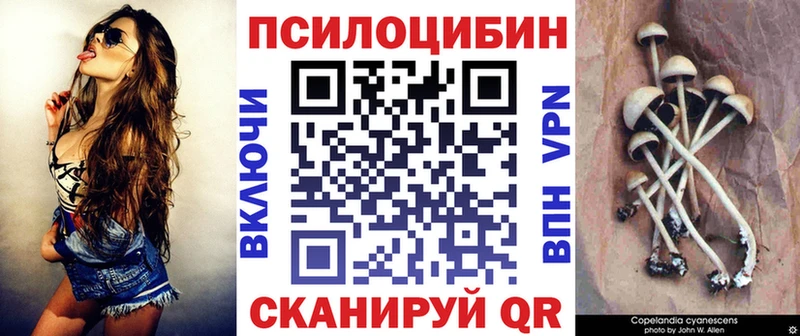 где найти наркотики  Алексеевка  Псилоцибиновые грибы Psilocybe 